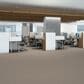 Shaw You Got This III Carpet in Subtle Clay, , large