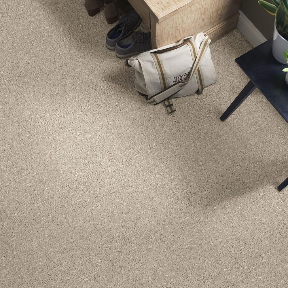 Anderson Tuftex Contour Carpet in Inner Balance, , large