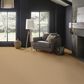 Anderson Tuftex Velluto Carpet in Crema, , large