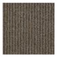 Shaw Chatterbox 24" x 24" Carpet Tile in Schmooze, , large