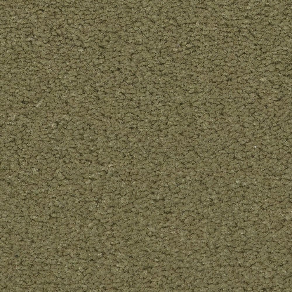Anderson Tuftex Finery Carpet in Tate Olive, , large