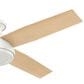 Hunter Dempsey 52" Low Profile Ceiling Fan in Fresh White, , large