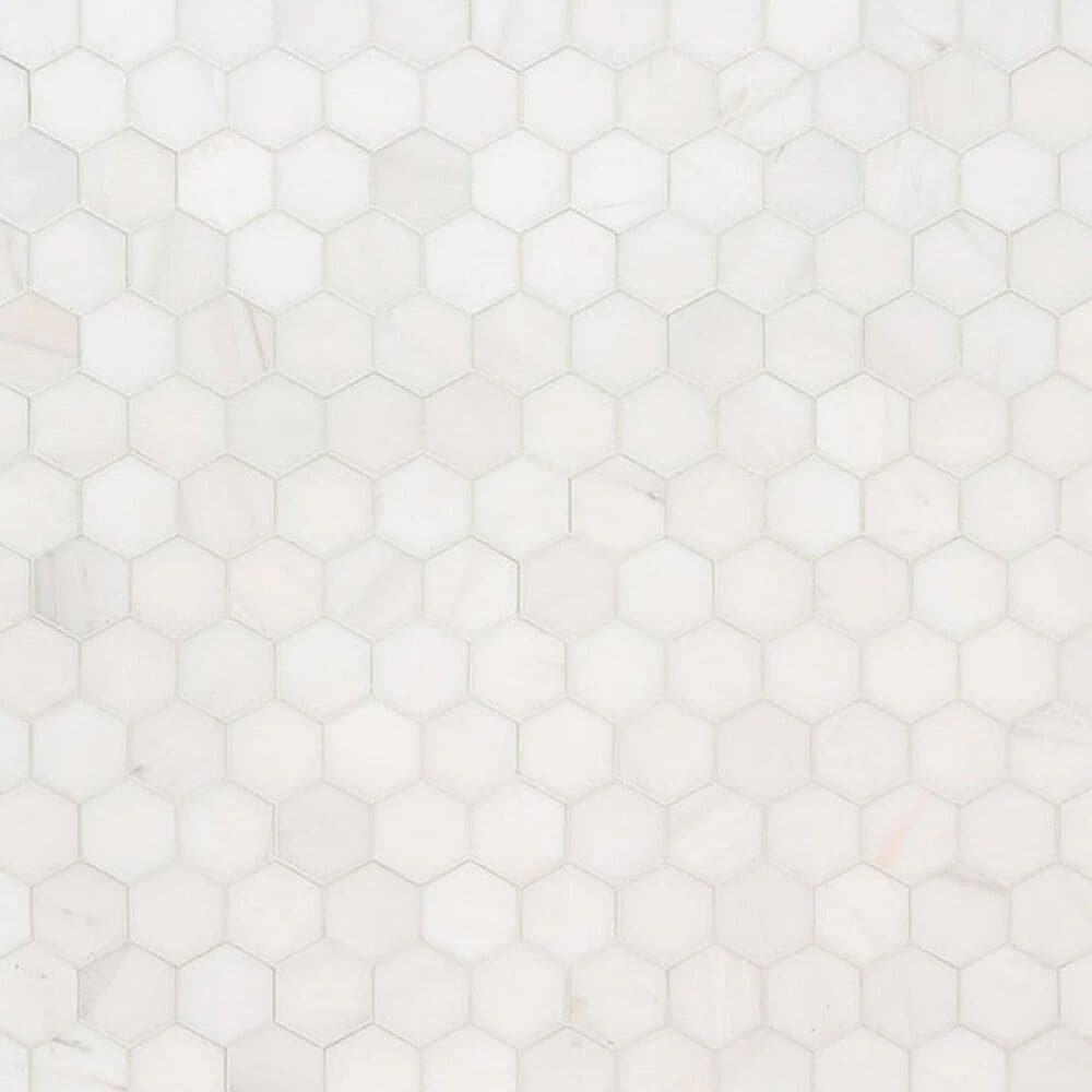 MS International Bianco Dolomite Soft White 12" x 11.75" Polished Natural Stone Tile, , large