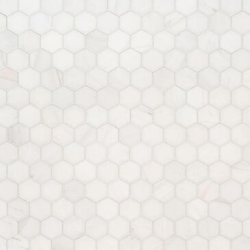 MS International Bianco Dolomite Soft White 12" x 11.75" Polished Natural Stone Tile, , large