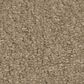 Shaw Way To Go III Carpet in Hidden Treasure, , large
