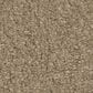 Shaw Way To Go III Carpet in Hidden Treasure, , large