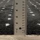 Oriental Weavers Galileo GAL04 Black and Ivory 7"10" x 10"10" Area Rug, , large