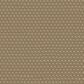 Anderson Tuftex Havencrest Carpet in Amber, , large