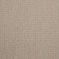 Dixie Home Galliard Carpet in Fragile, , large
