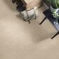 Anderson Tuftex Ario Carpet in Parchment, , large