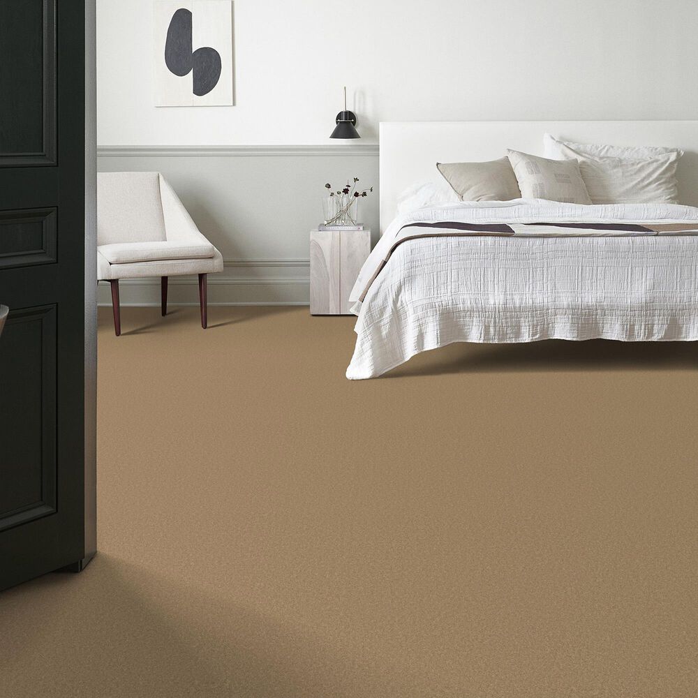 Anderson Tuftex Enduring Charm Carpet in Winter Wheat, , large