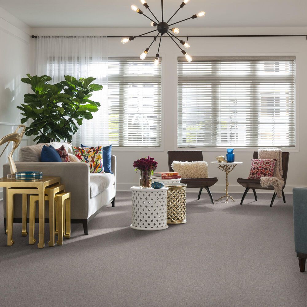 Shaw Find Your Comfort NS II Carpet in Whisper, , large