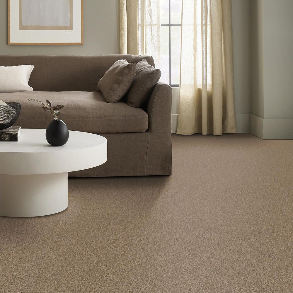 Anderson Tuftex Wyndham Estate Carpet in Toffee, , large