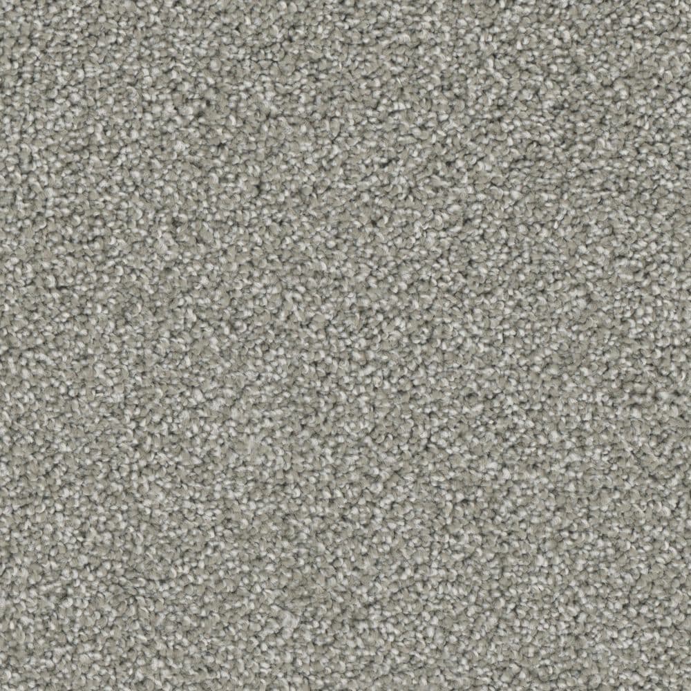 Phenix Balboa Carpet in Luxe Living, , large