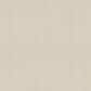 Shaw Naturalistic Carpet in Champagne Toast, , large