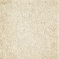 Mohawk Superior Taste Carpet in Georgian, , large
