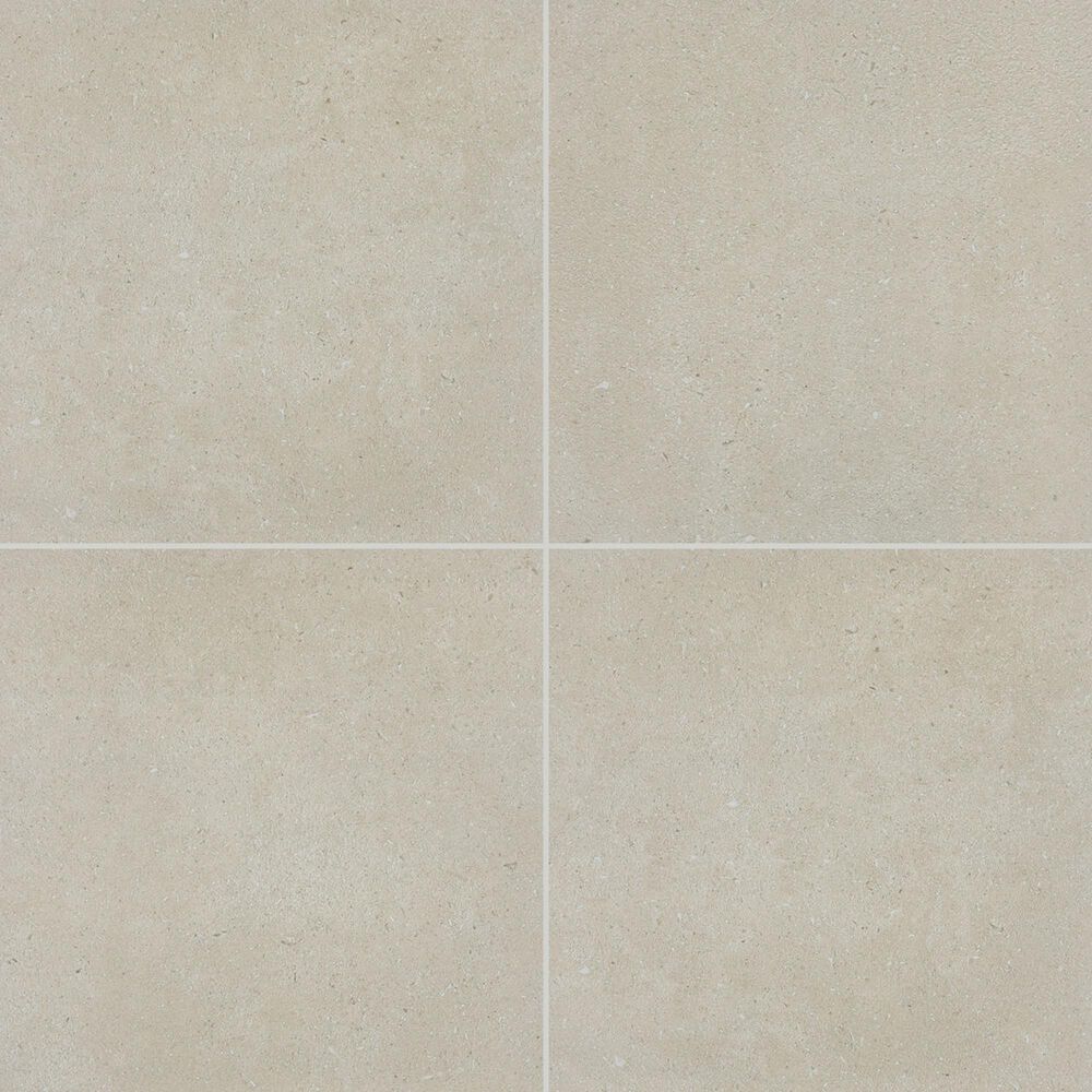 Dal-Tile Outlander Echo 24" x 24" Palazzo Porcelain Tile, , large
