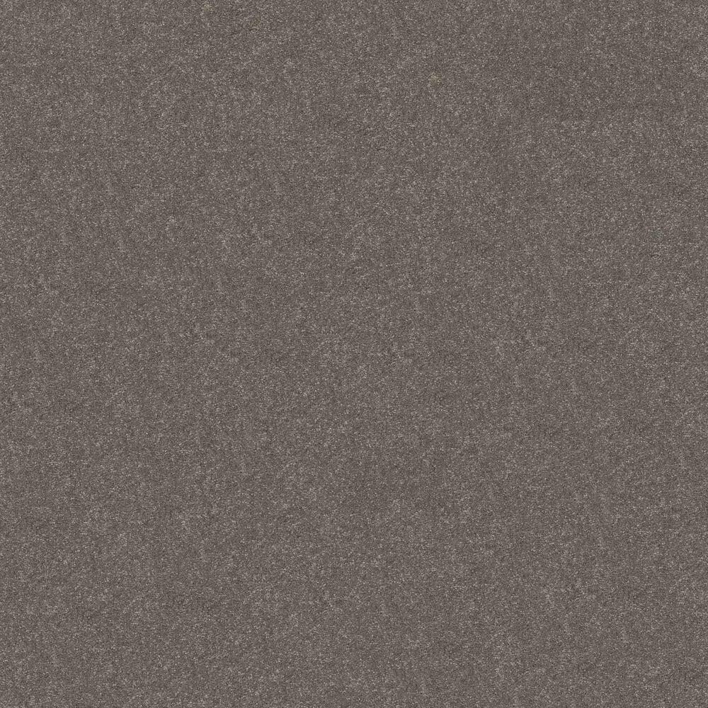 Shaw Hard At Play II Carpet in Ashes, , large