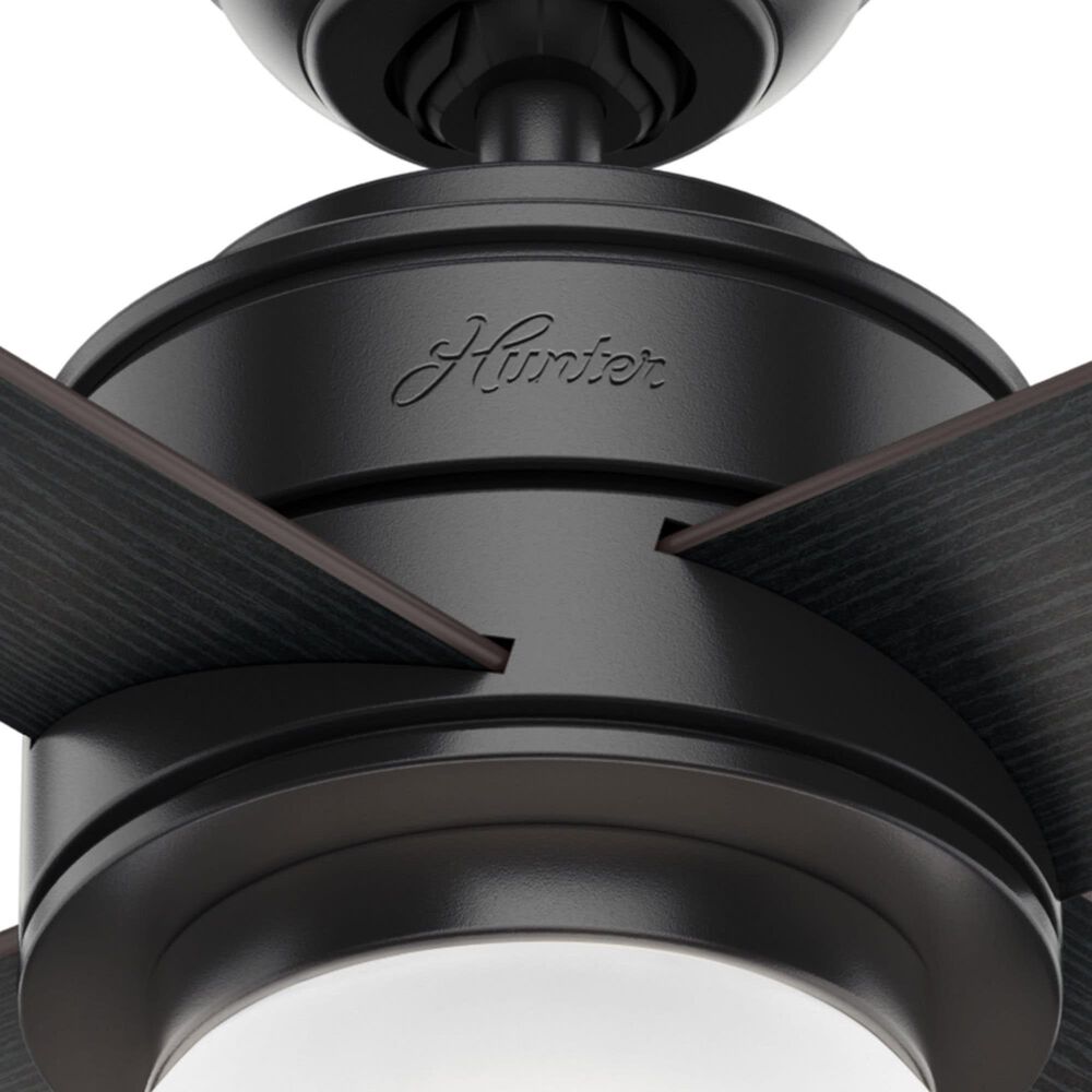 Hunter Hepburn 52&quot; Ceiling Fan with LED Light in Matte Black, , large