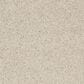 Shaw Barracan Classic IV Carpet in Cheviot, , large