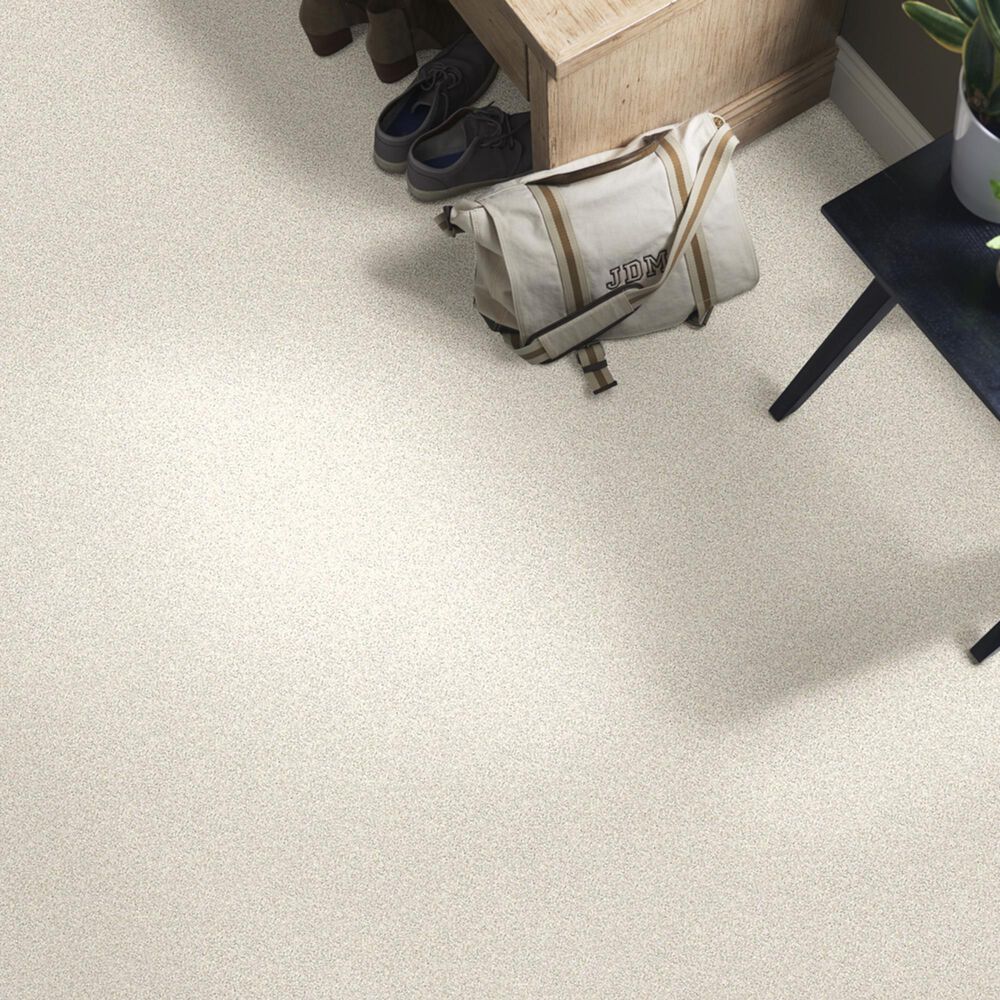 Shaw Foundations Take The Floor Twist I Carpet in Biscotti, , large
