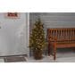 The Gerson Company 4" Potted Pre-Lit Artificial Georgia Pine with White LED Lights in Green, , large