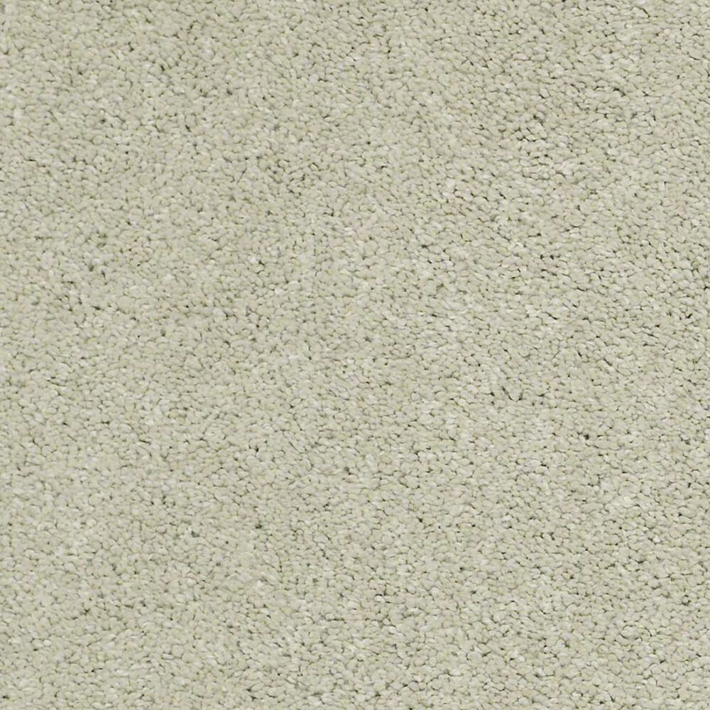 Anderson Tuftex Barracan Classic I Carpet in Celadon, , large