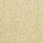Dixie Home Debut Carpet in Mineral, , large