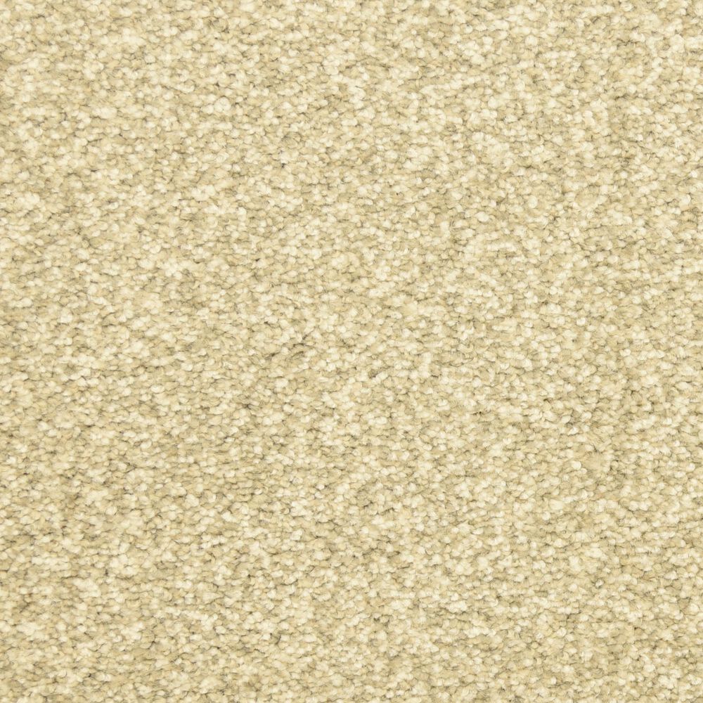 Dixie Home Debut Carpet in Mineral, , large