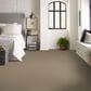 Shaw Way To Go I Carpet in Hidden Treasure, , large