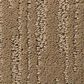 Shaw Making Memories Carpet in Camping Trip, , large