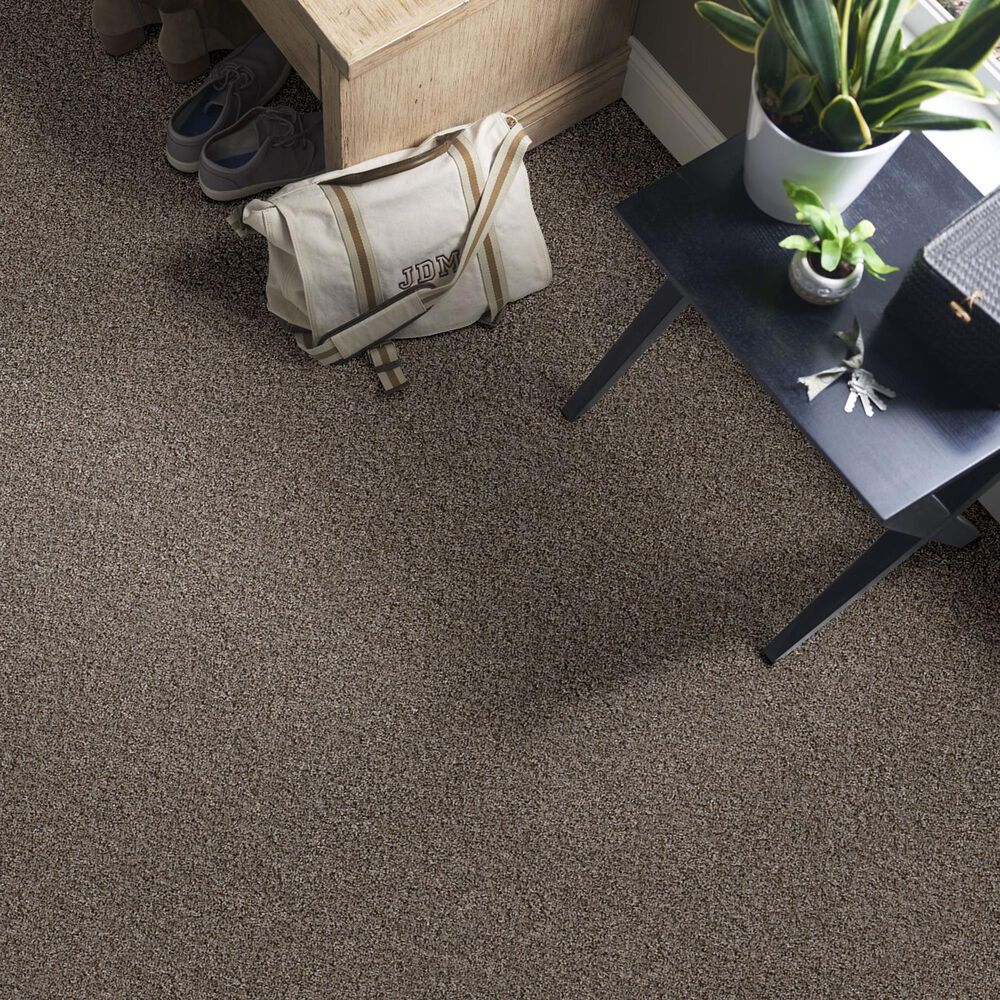 Philadelphia Mixed Essentials Carpet in Raven, , large