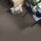 Philadelphia Mixed Essentials Carpet in Raven, , large