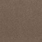 Shaw Live On Comfort Carpet in Classic Caramel, , large