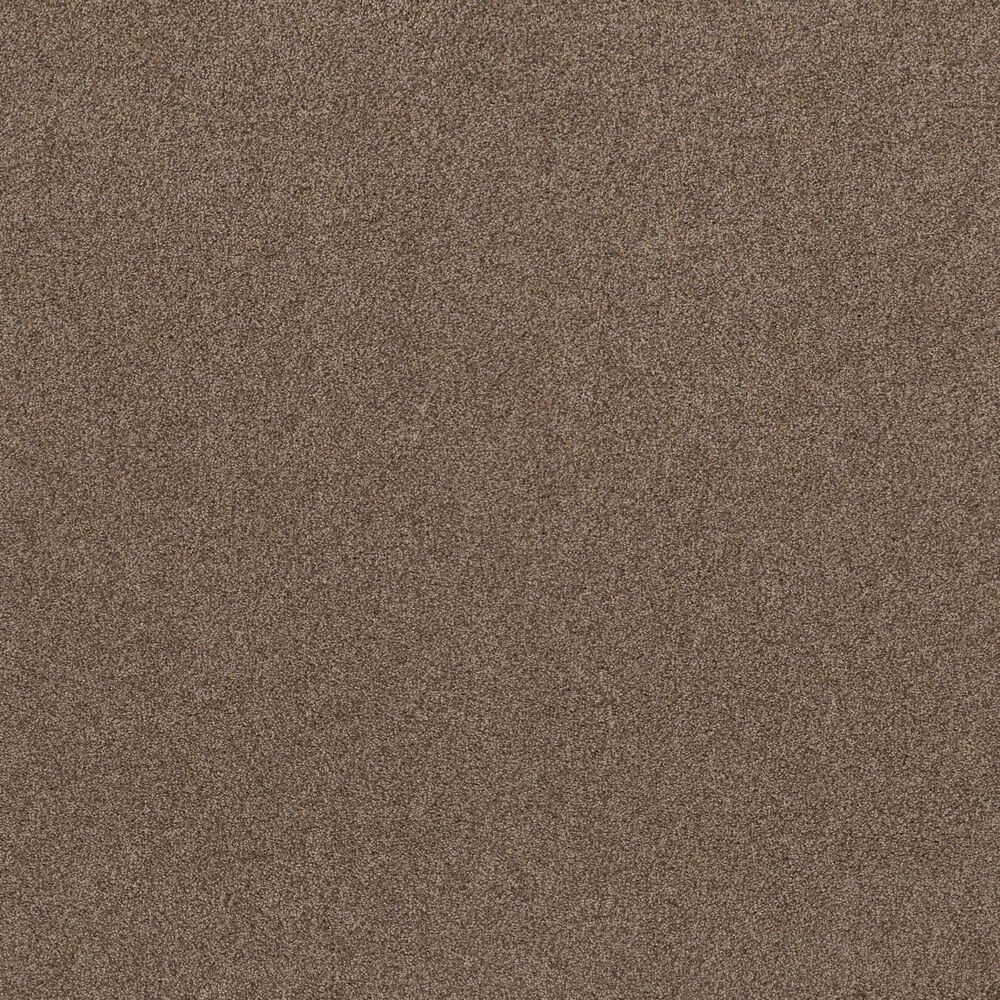 Shaw Live On Comfort Carpet in Classic Caramel, , large