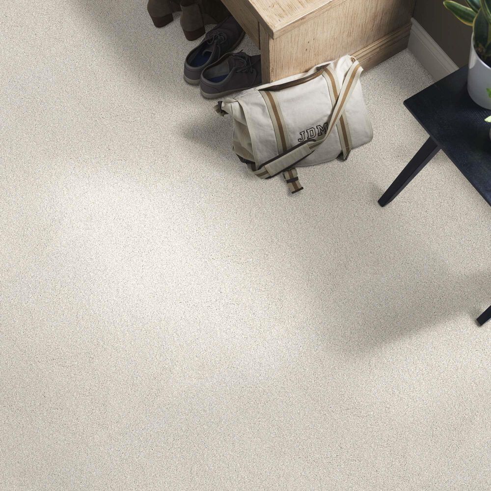 Anderson Tuftex Caress Cozy Harbor I Carpet in Candle Light, , large