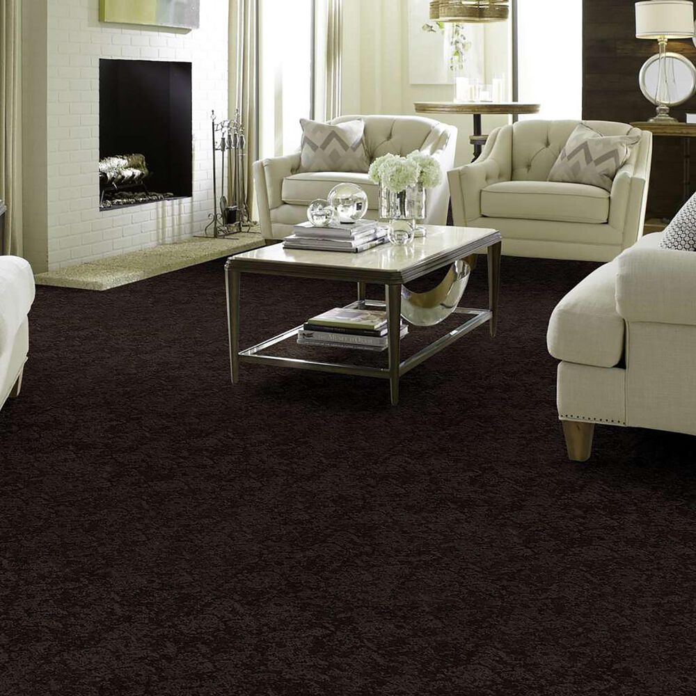 Philadelphia Caress Free Spirit Carpet in Burma Brown, , large