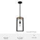 Hunter Dukestown 1-Light Mini Pendant in Natural Iron and Gold Leaf, , large