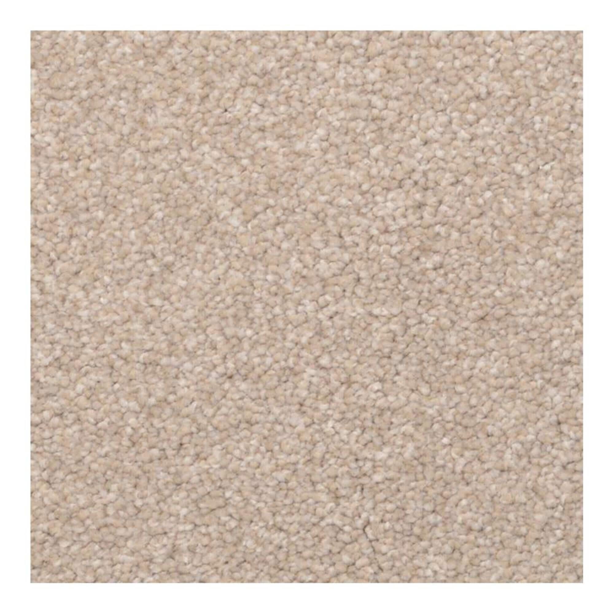 Dixie top home carpet