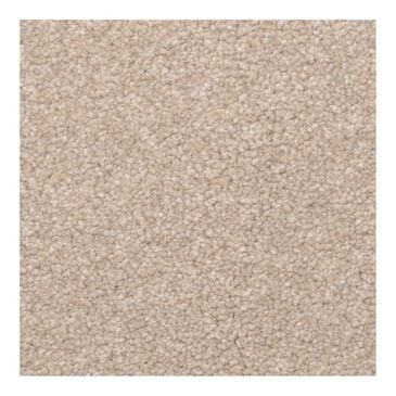 Dixie Home Lavato Carpet in Driftwood, , large