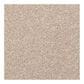 Dixie Home Lavato Carpet in Driftwood, , large
