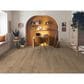 COREtec Pro Classics Springfield Oak 7" x 48" Luxury Vinyl Plank, , large