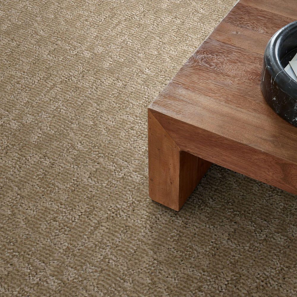 Anderson Tuftex Paw-Tay Carpet in Mystic, , large