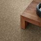 Anderson Tuftex Paw-Tay Carpet in Mystic, , large