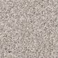 Shaw Live On Comfort Carpet in Brushed Aluminum, , large
