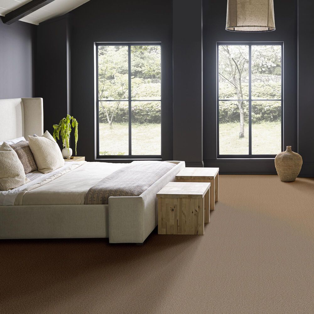 Anderson Tuftex Wyndham Estate Carpet in Distant Land, , large