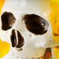 The Gerson Company Solar Lighted Halloween Sunflower with Skull Yard Stake in Assort, , large