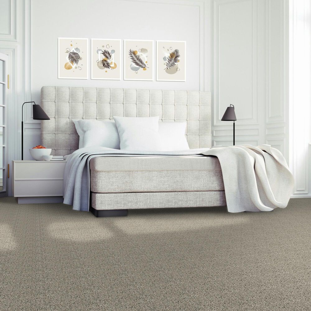 Mohawk Assorted Elements I Carpet in Silver Dollar, , large