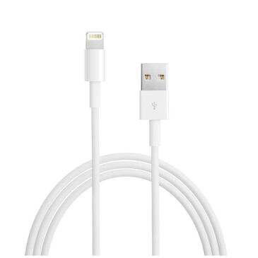 Apple Lightning to USB Cable, , large