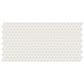Dal-Tile Keystones Arctic White 1" x 1" Penny Round on 10" x 22" Porcelain Mosaic Sheet, , large